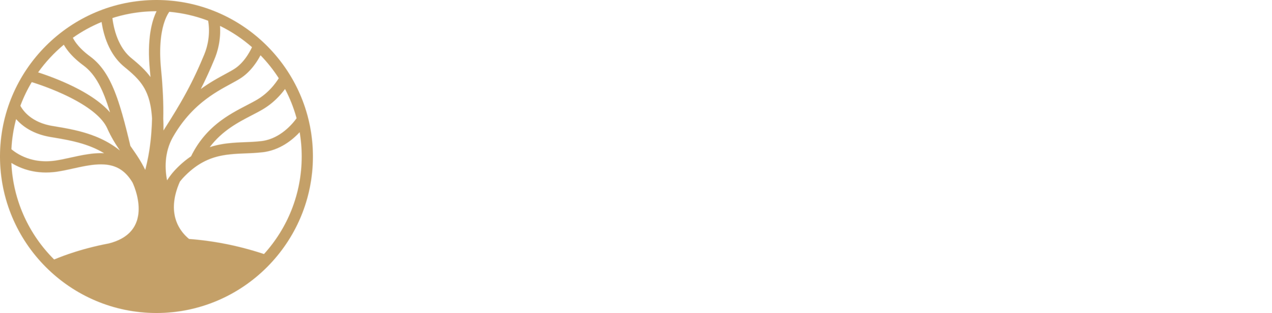 Polkoff Law PLLC Planning and Probate